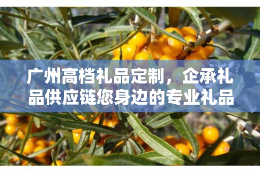 广州高档礼品定制，企承礼品供应链您身边的专业礼品定制公司